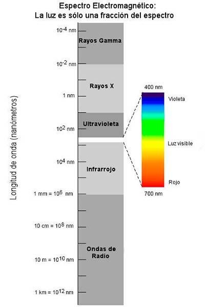 Espectro electromagnético con la luz visible